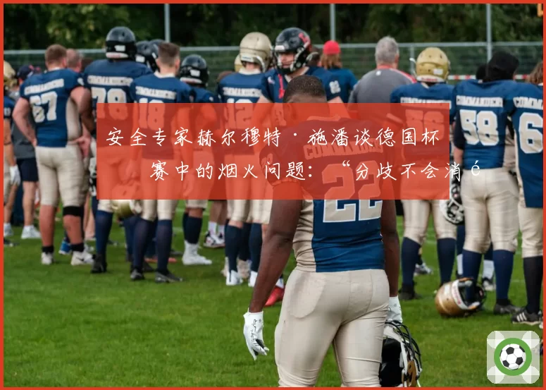 安全专家赫尔穆特·施潘谈德国杯决赛中的烟火问题：“分歧不会消除”